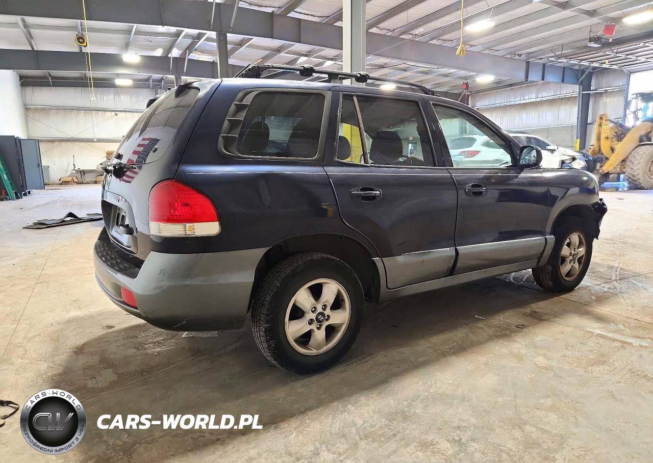 2005 Hyundai Santa Fe Gls VIN:KM8SC73D95U012957 - 3