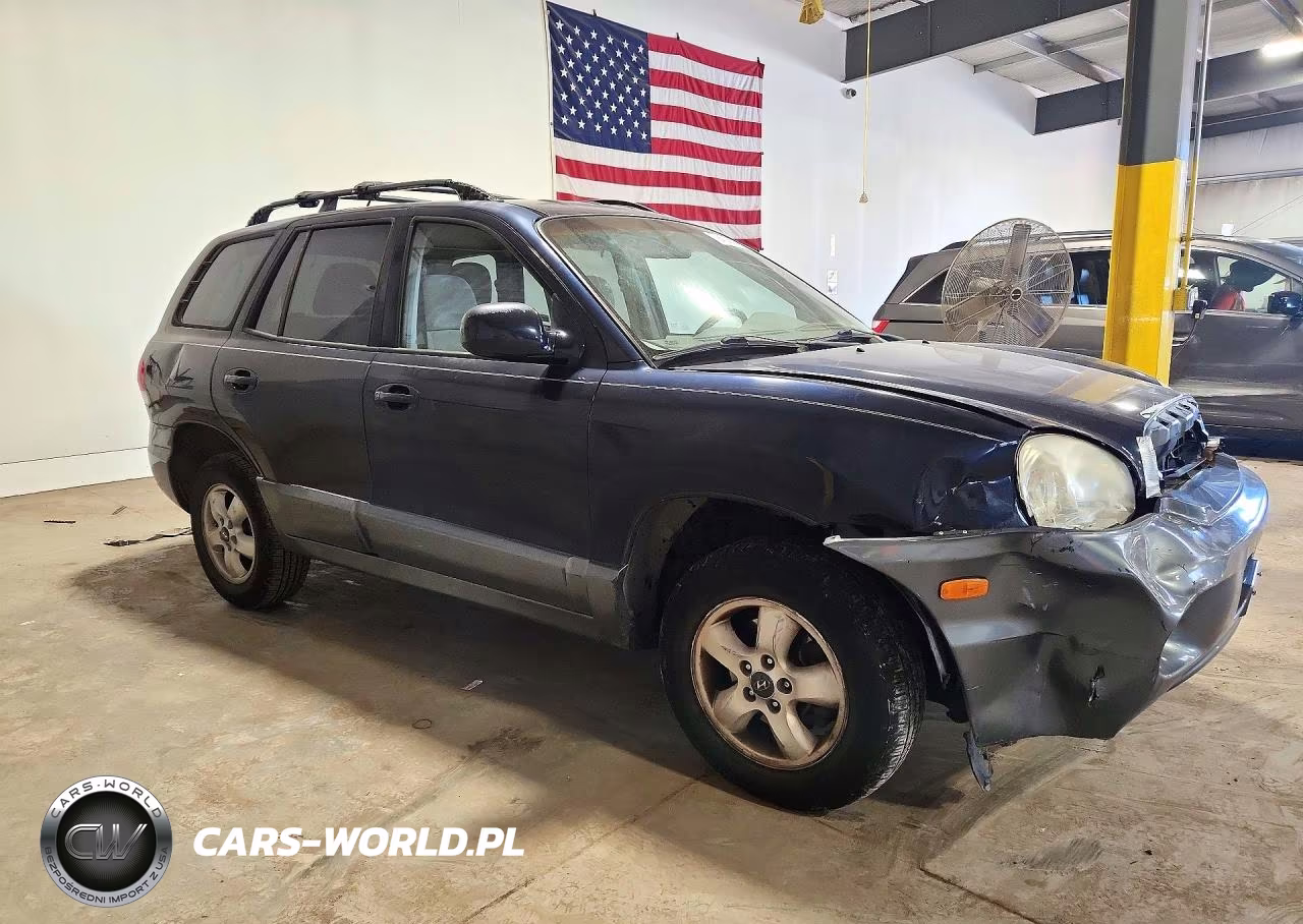 2005 Hyundai Santa Fe Gls VIN:KM8SC73D95U012957 - 4