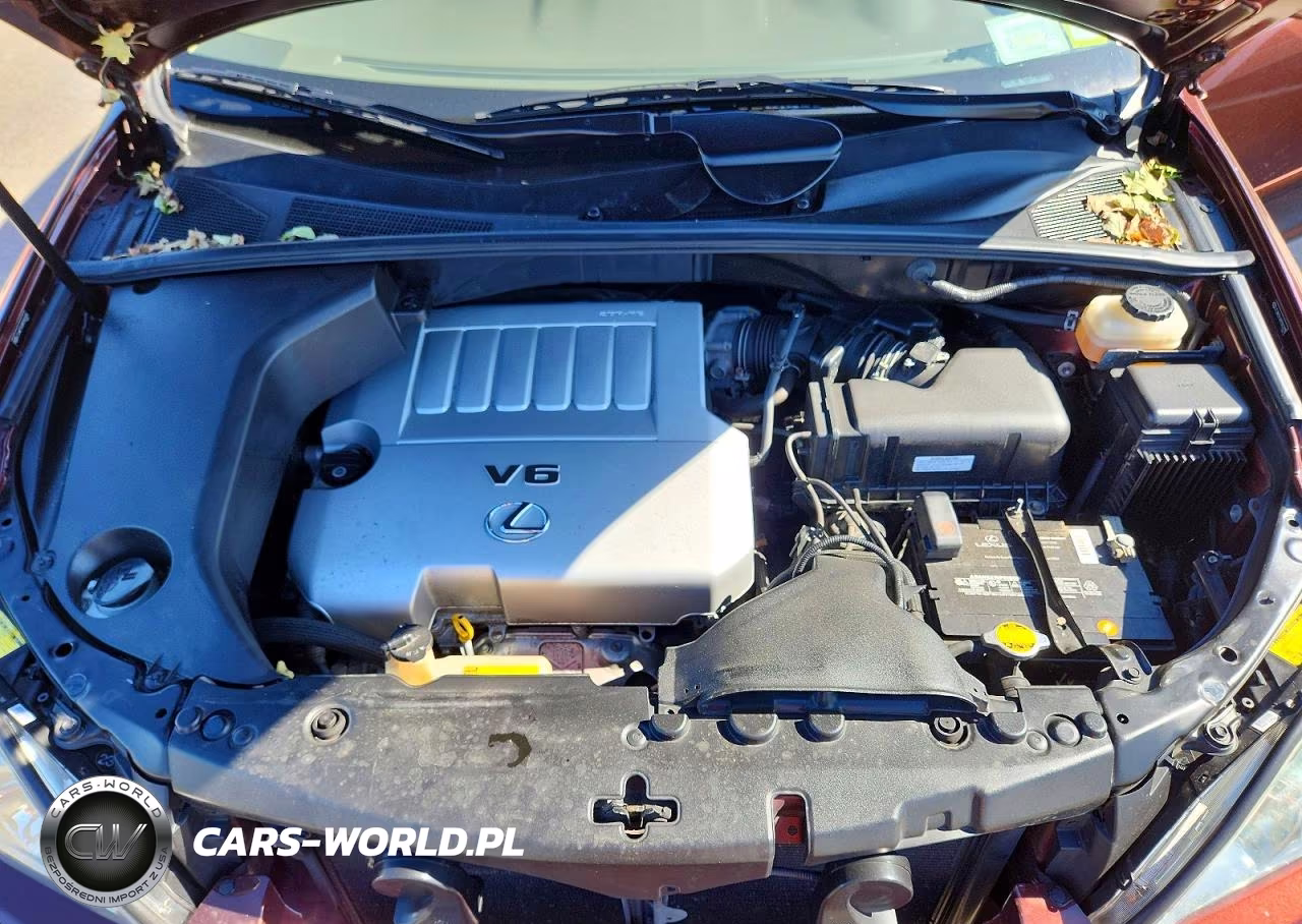 2009 Lexus Rx 350 VIN:JTJHK31U492062435 - 12
