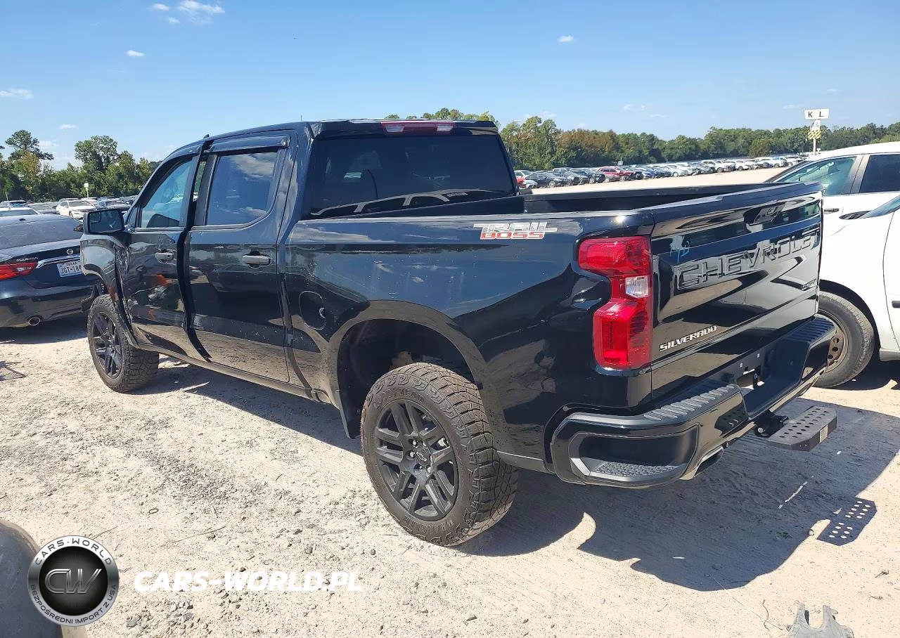2025 Chevrolet Silverado 1500 4Wd Short Bed Custom Trail Boss VIN:3GCUKCED9SG198858 - 2