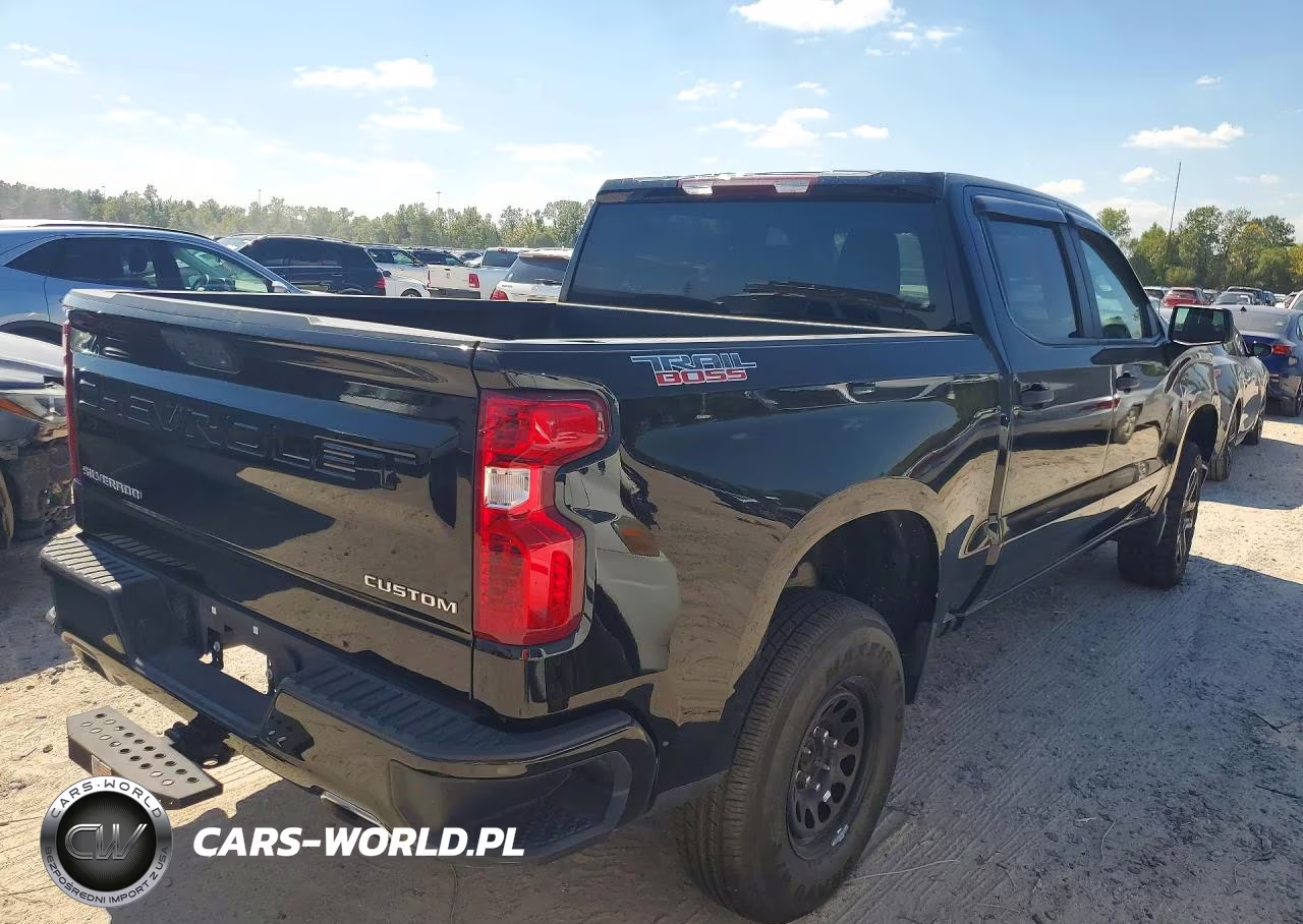 2025 Chevrolet Silverado 1500 4Wd Short Bed Custom Trail Boss VIN:3GCUKCED9SG198858 - 3