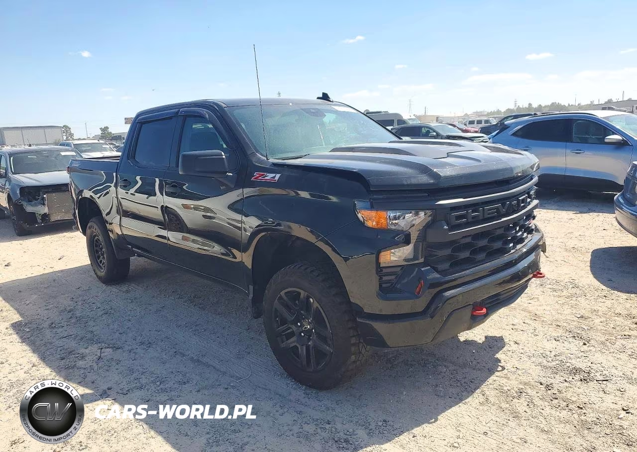 2025 Chevrolet Silverado 1500 4Wd Short Bed Custom Trail Boss VIN:3GCUKCED9SG198858 - 4