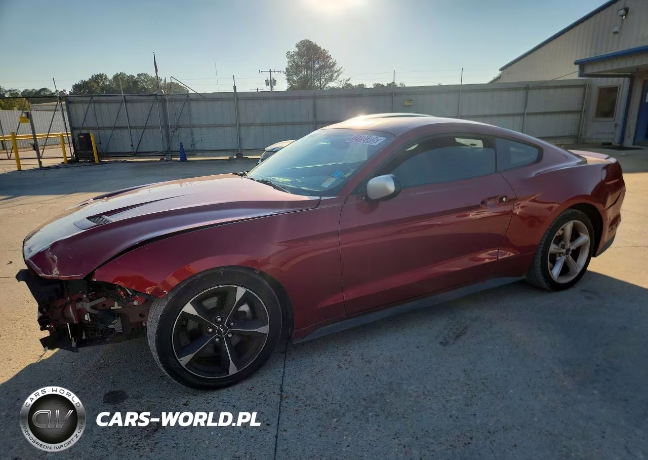 2019 Ford Mustang VIN:1FA6P8TH4K5134026 - 1