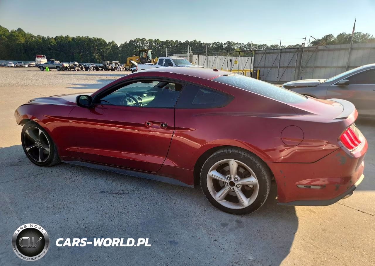 2019 Ford Mustang VIN:1FA6P8TH4K5134026 - 2
