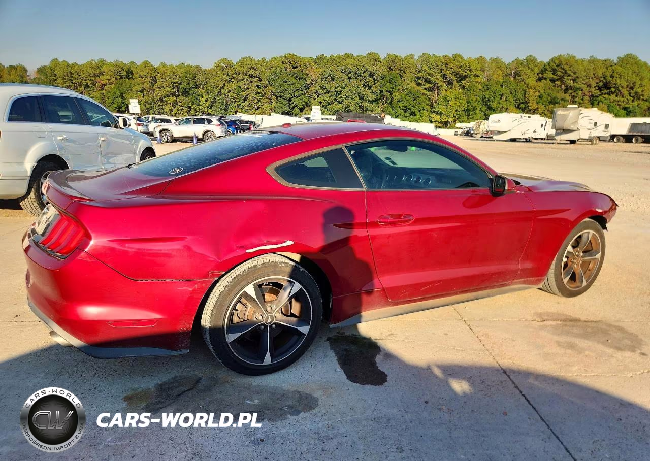 2019 Ford Mustang VIN:1FA6P8TH4K5134026 - 3