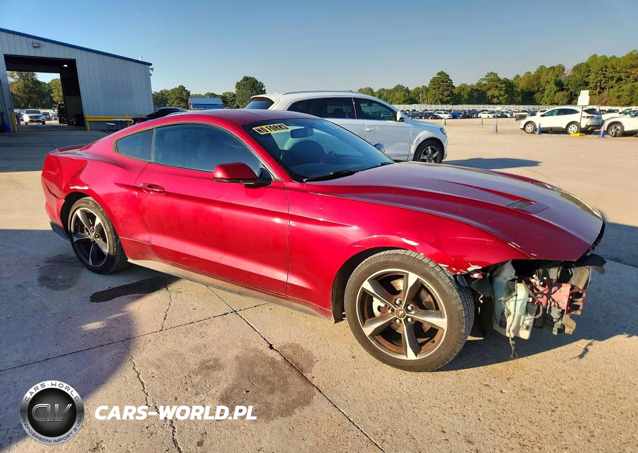 2019 Ford Mustang VIN:1FA6P8TH4K5134026 - 4