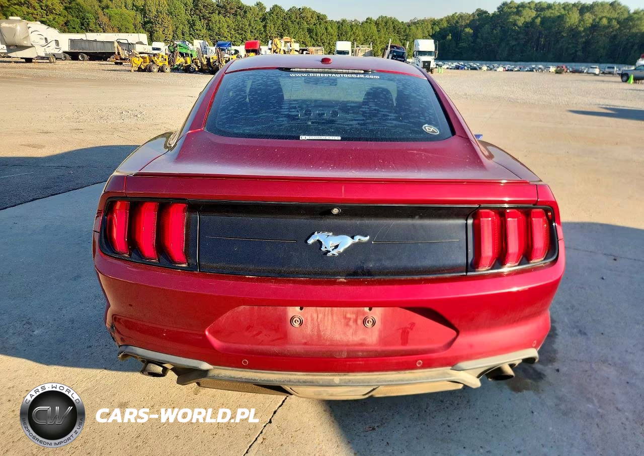 2019 Ford Mustang VIN:1FA6P8TH4K5134026 - 6