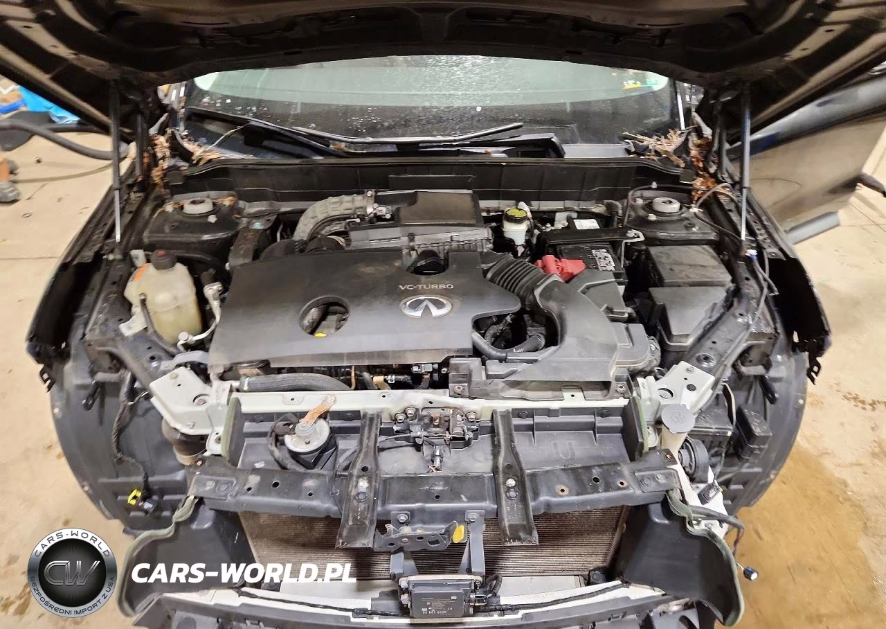 2019 Infiniti Qx50 Essential VIN:3PCAJ5M35KF123915 - 12