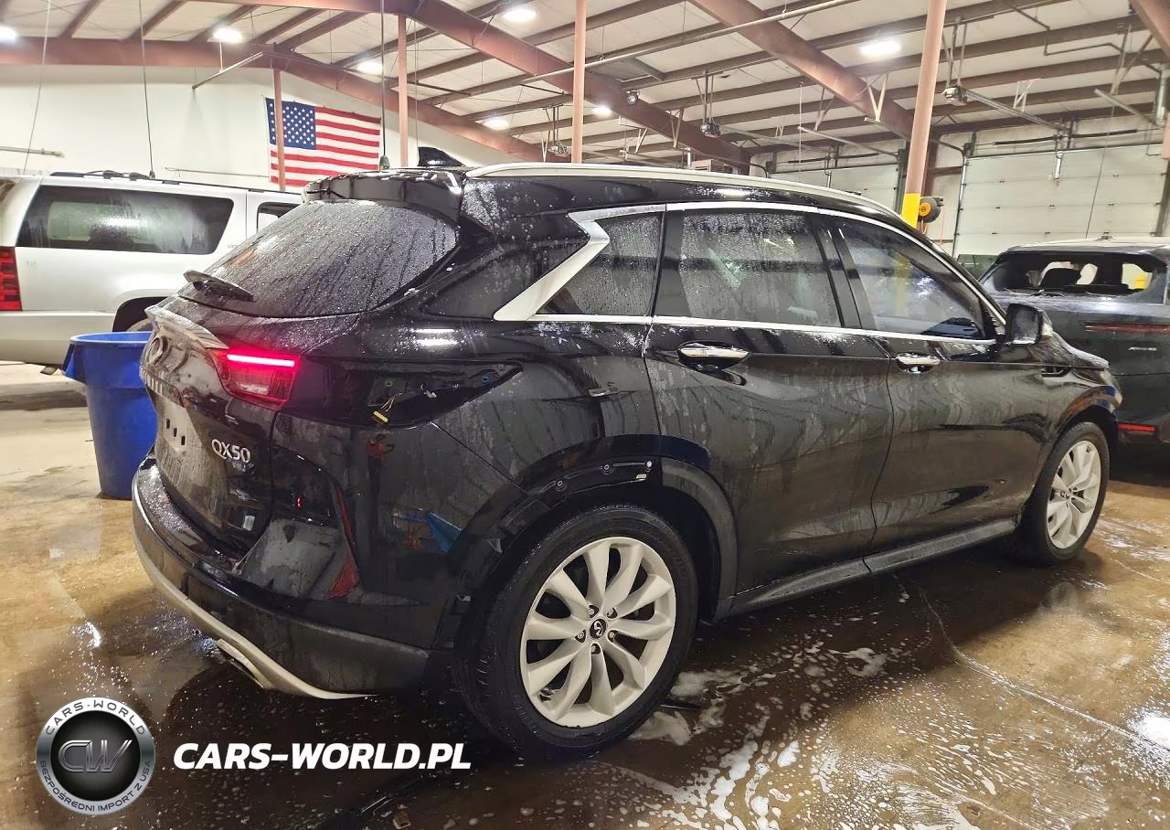 2019 Infiniti Qx50 Essential VIN:3PCAJ5M35KF123915 - 3