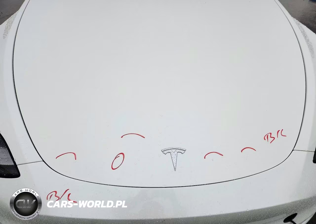 2021 Tesla Model Y VIN:5YJYGDEE4MF186983 - 11