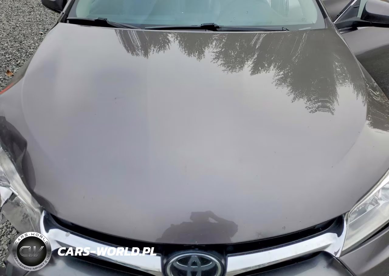 2017 Toyota Camry Xle VIN:4T1BF1FK4HU779909 - 11