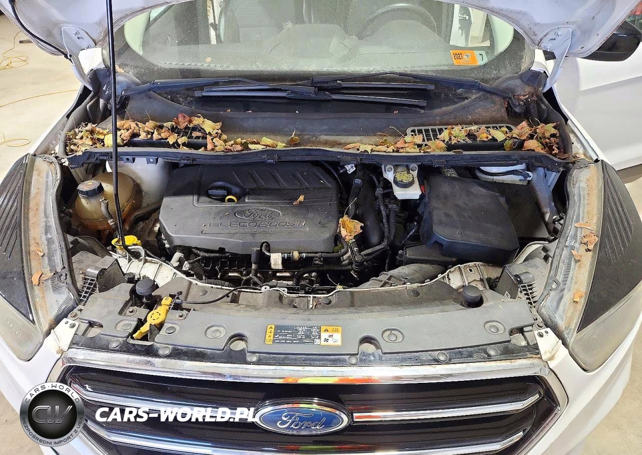 2017 Ford Escape Se VIN:1FMCU0GD8HUA99354 - 12