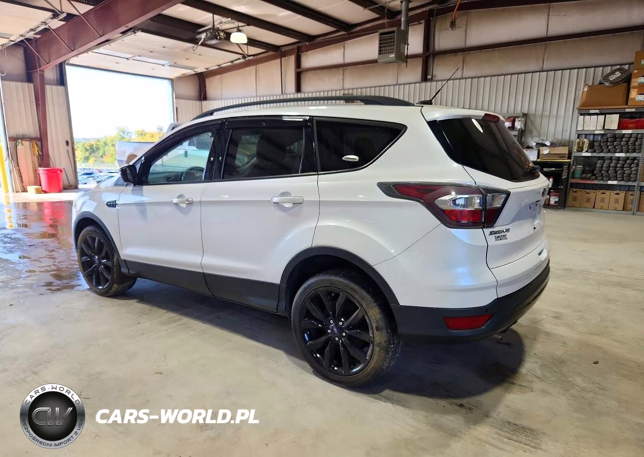 2017 Ford Escape Se VIN:1FMCU0GD8HUA99354 - 2