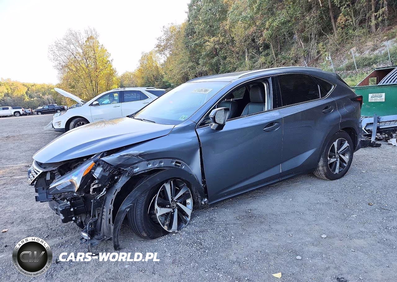 2021 Lexus Nx 300 Base VIN:JTJGARDZ3M2241356 - 1