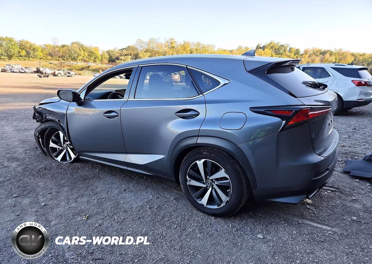 2021 Lexus Nx 300 Base VIN:JTJGARDZ3M2241356 - 2
