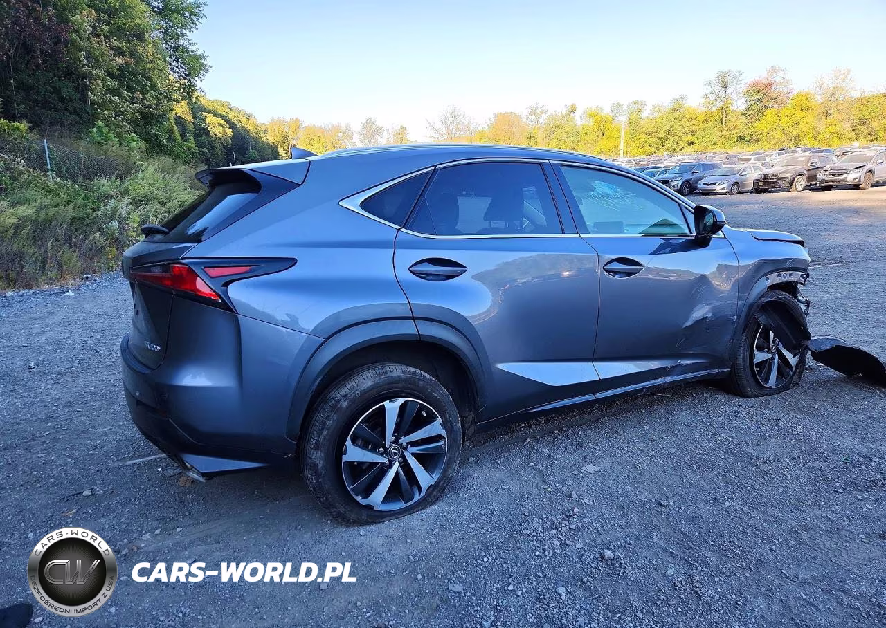 2021 Lexus Nx 300 Base VIN:JTJGARDZ3M2241356 - 3