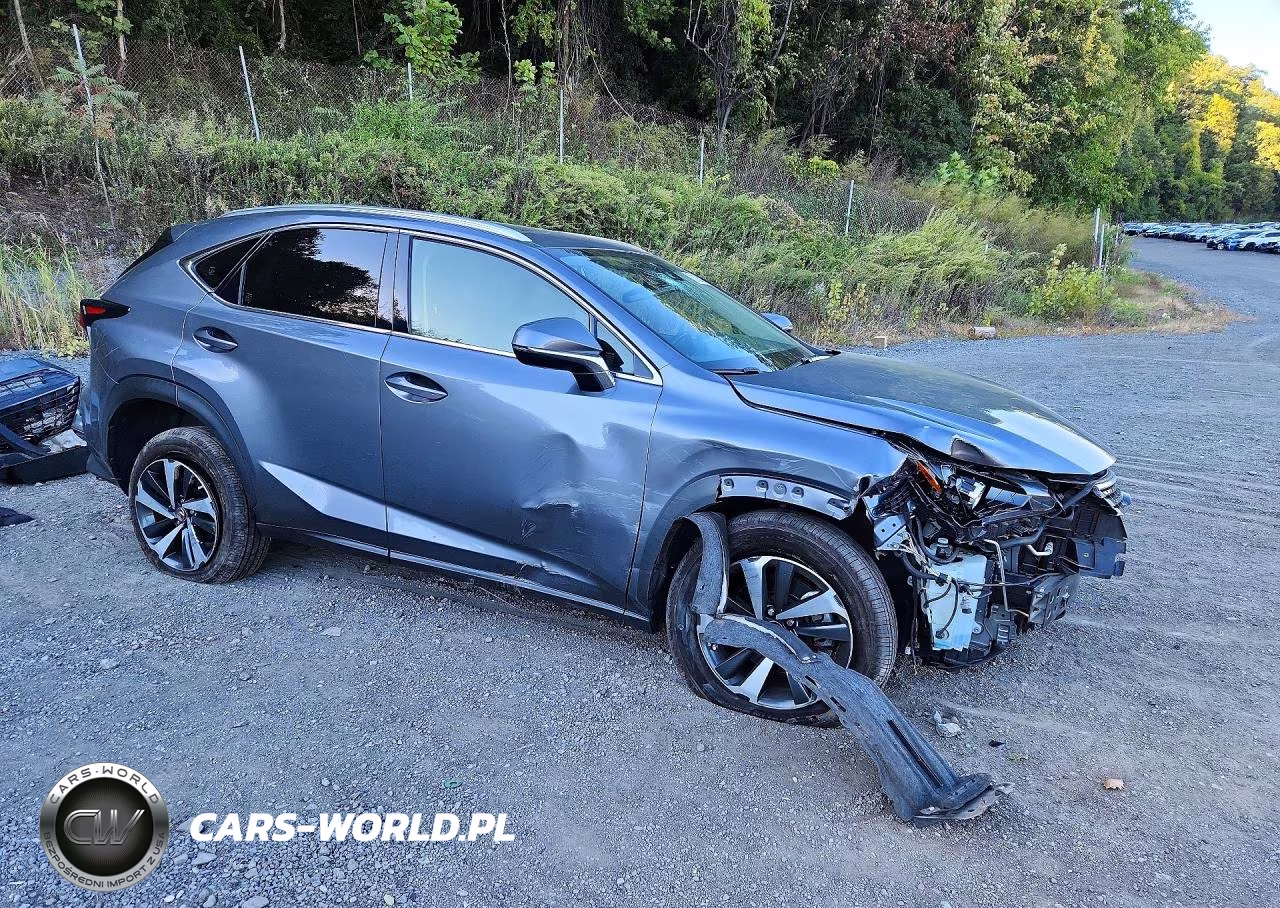 2021 Lexus Nx 300 Base VIN:JTJGARDZ3M2241356 - 4