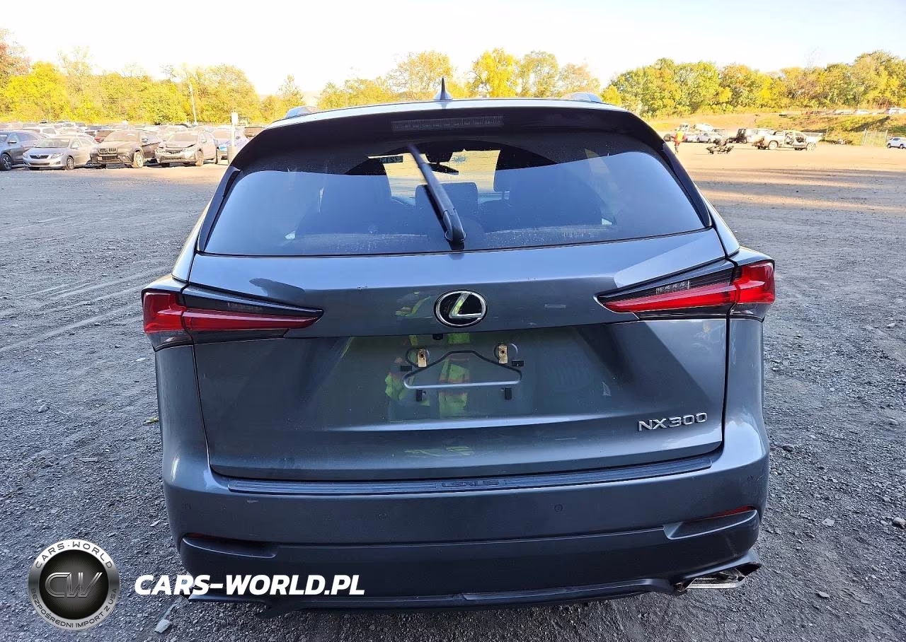 2021 Lexus Nx 300 Base VIN:JTJGARDZ3M2241356 - 6