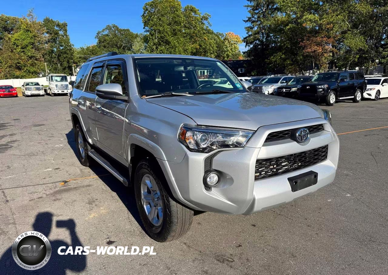 2019 Toyota 4Runner Sr5 Premium VIN:JTEBU5JR0K5699168 - 4