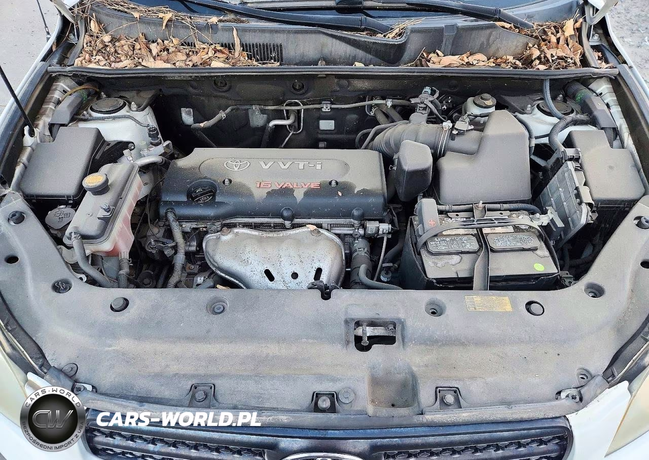 2008 Toyota Rav4 Base VIN:JTMBD33V286064622 - 12