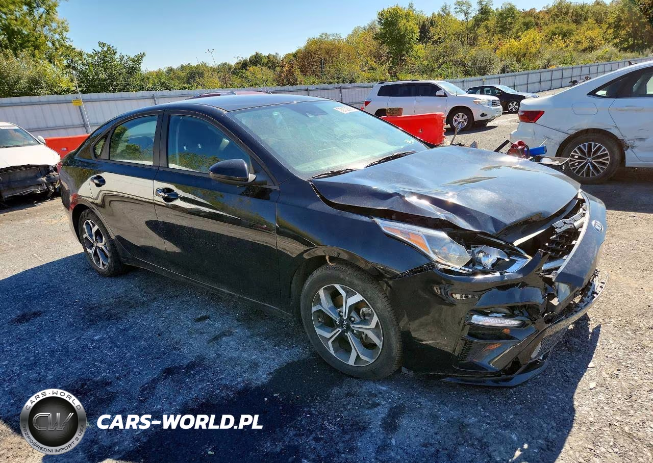 2021 Kia Forte Lxs VIN:3KPF24AD3ME389274 - 4