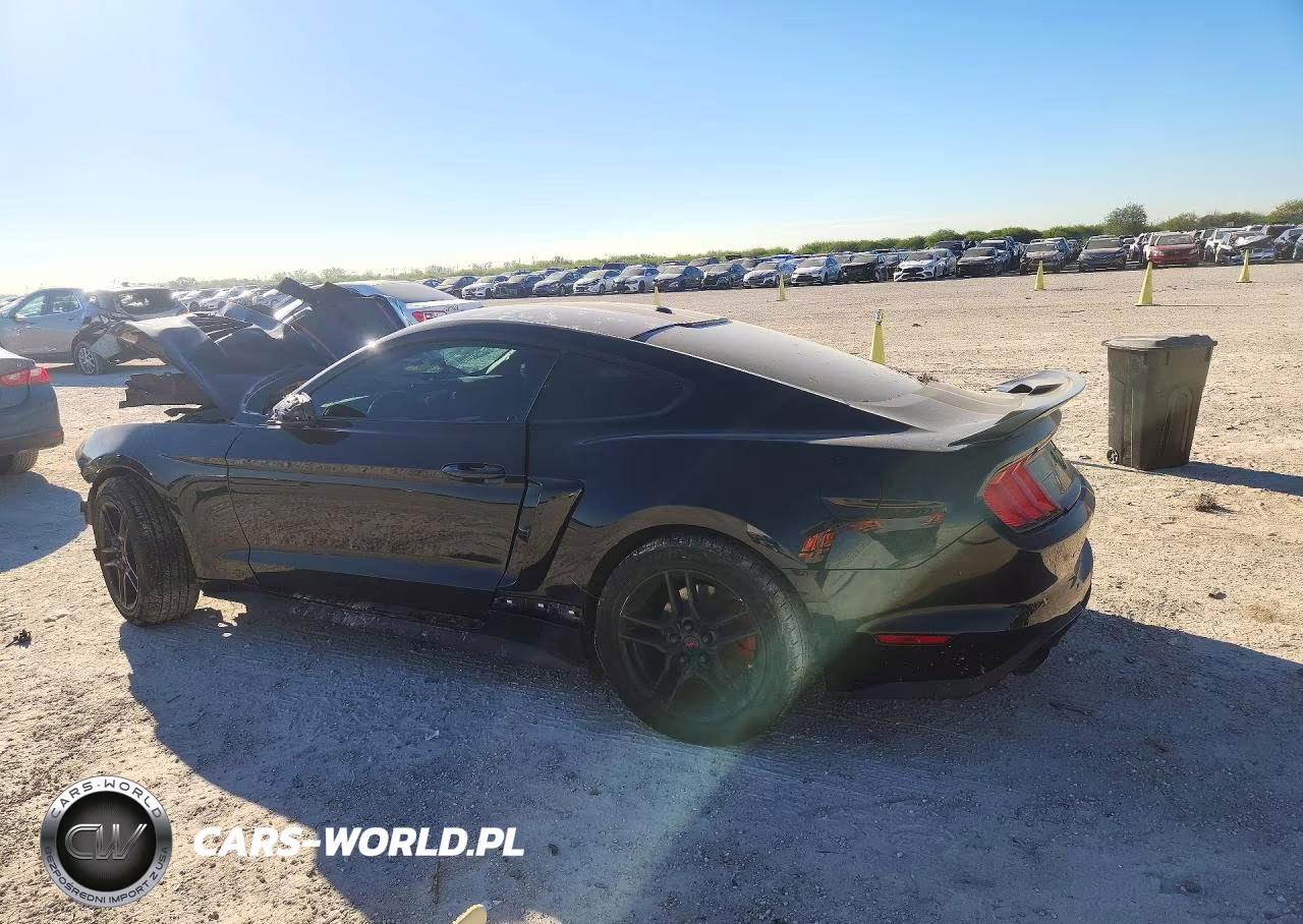 2020 Ford Mustang VIN:1FA6P8TH7L5130134 - 2
