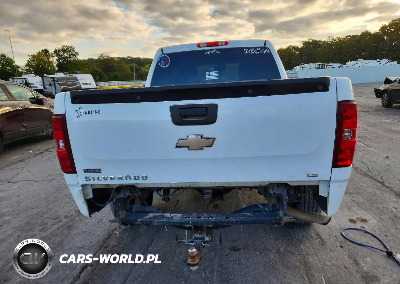 2010 Chevrolet Silverado C1500 Ls VIN:3GCRCREA0AG141488 - 6