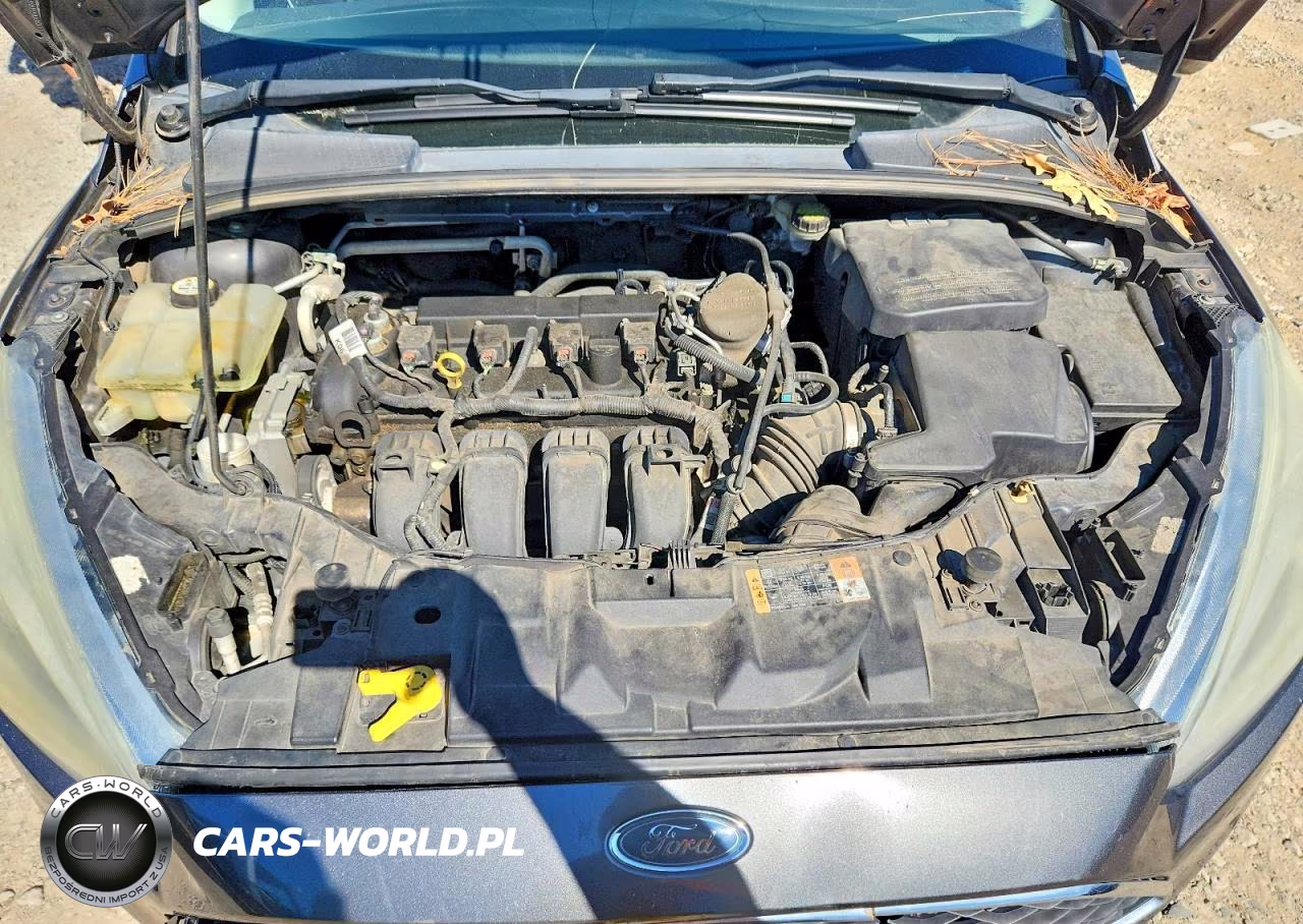 2015 Ford Focus Se VIN:1FADP3F22FL214394 - 11