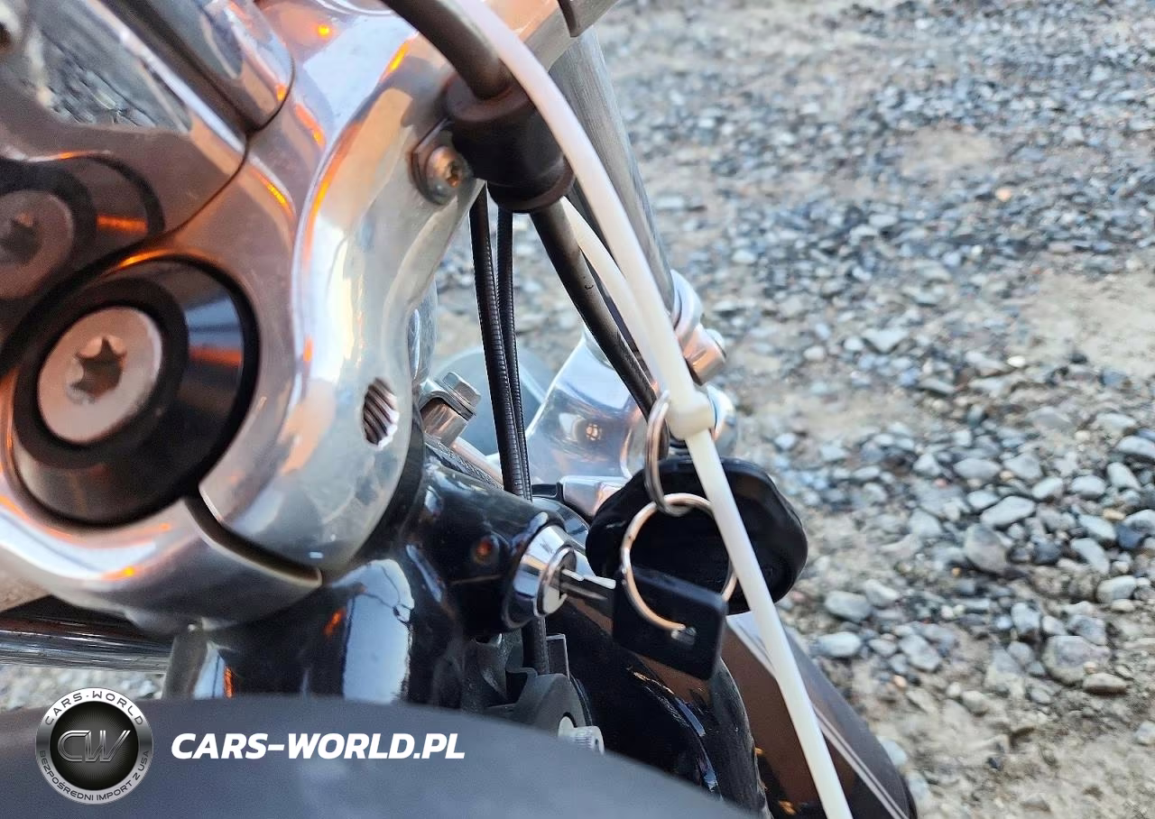 2014 Harley-Davidson Xl1200 C VIN:1HD1CT314EC401251 - 8