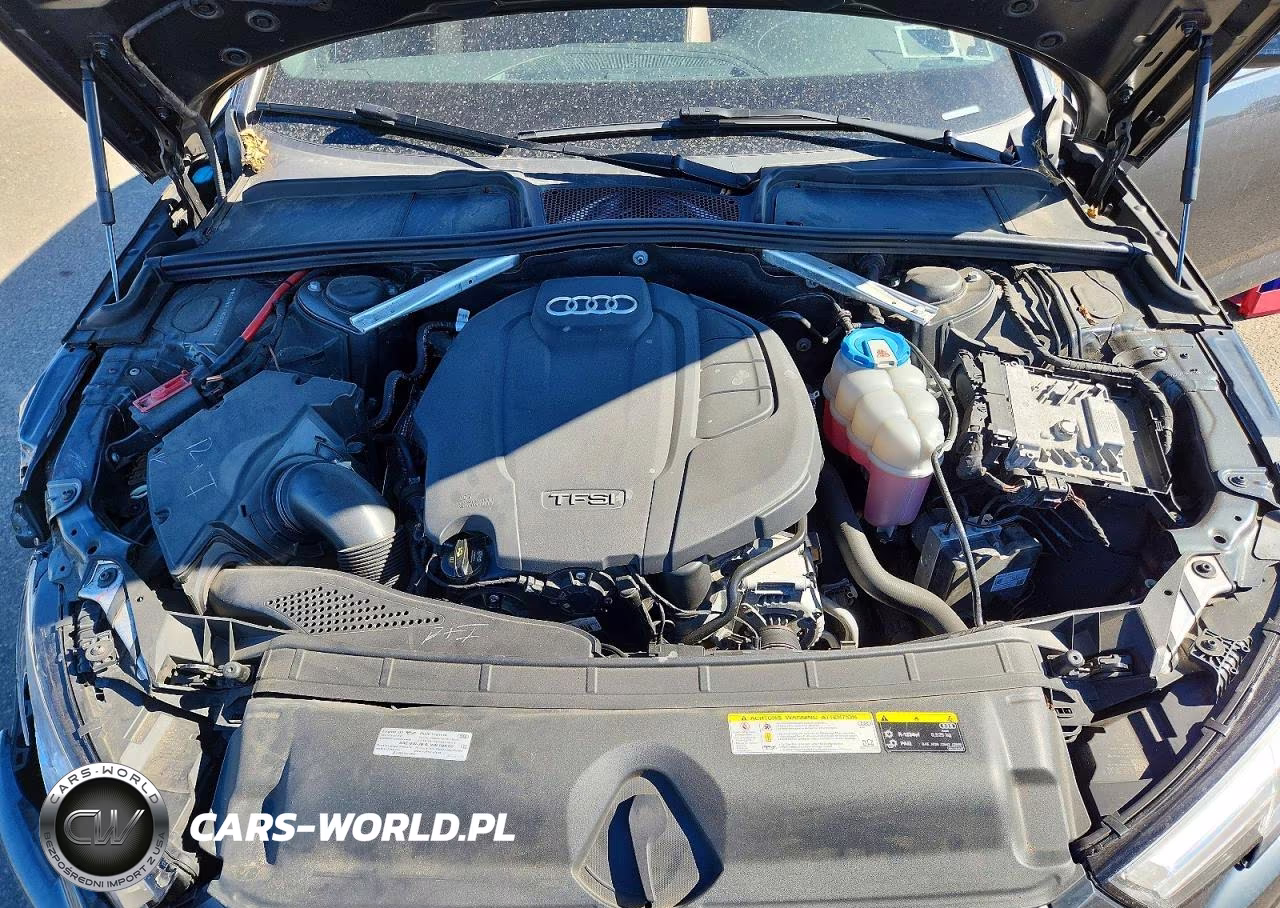 2019 Audi A4 Premium Plus VIN:WAUENAF4XKA026638 - 11