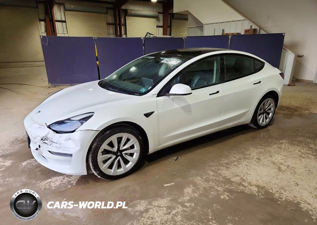 2023 Tesla Model 3 VIN:5YJ3E1EA4PF435248 - 1