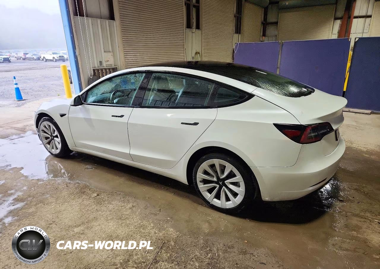 2023 Tesla Model 3 VIN:5YJ3E1EA4PF435248 - 2