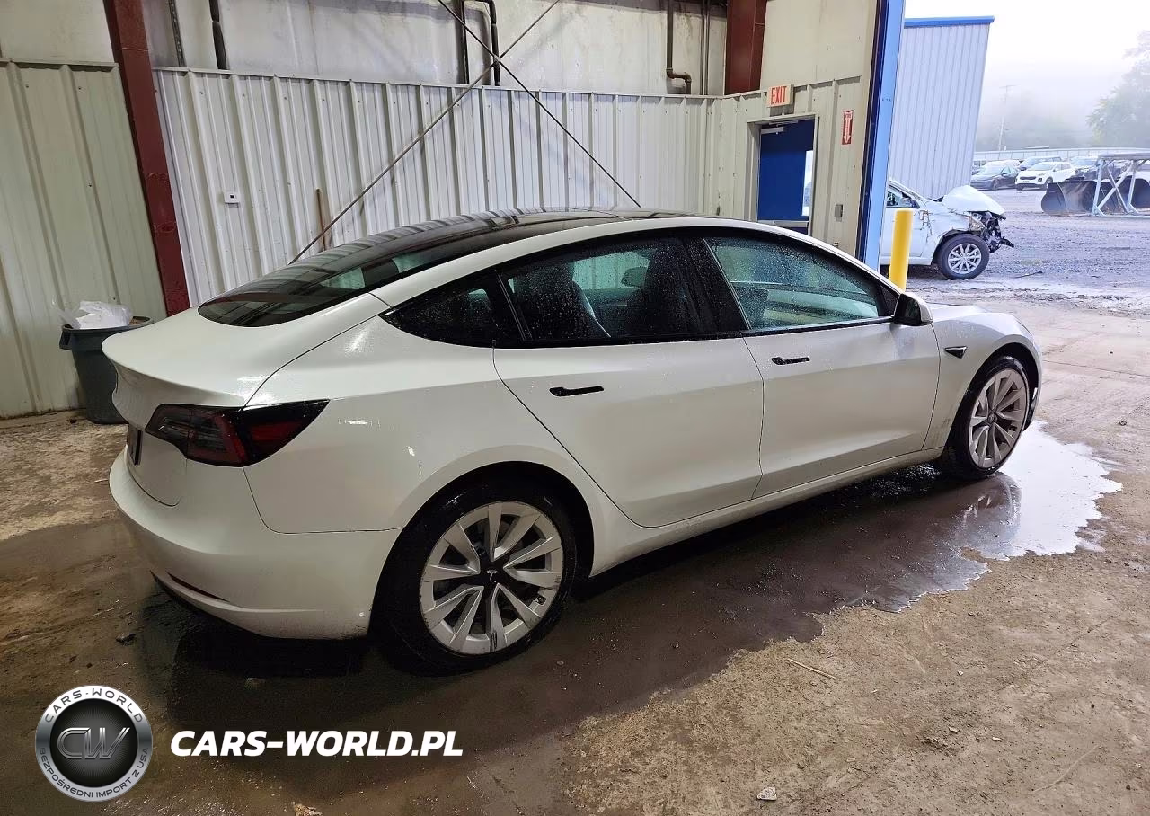 2023 Tesla Model 3 VIN:5YJ3E1EA4PF435248 - 3