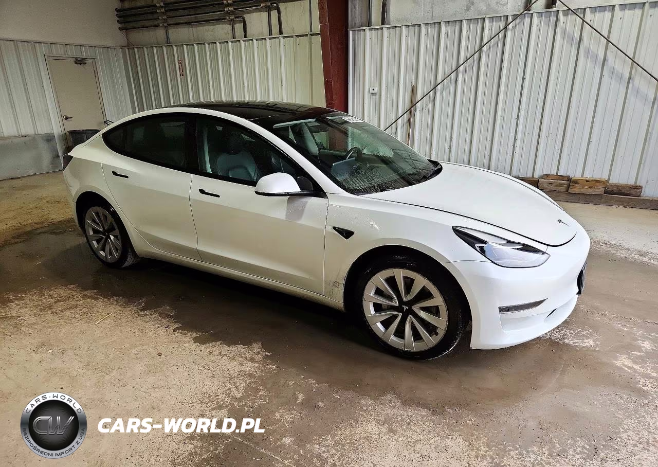 2023 Tesla Model 3 VIN:5YJ3E1EA4PF435248 - 4