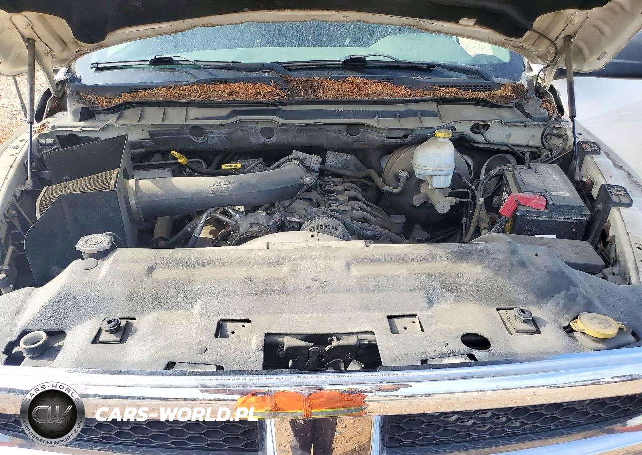 2009 Dodge Ram 1500 VIN:1D3HV18P49S784350 - 11