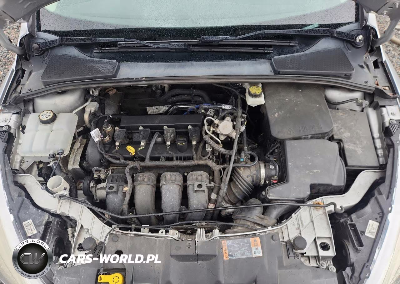 2018 Ford Focus Se VIN:1FADP3F2XJL324439 - 11