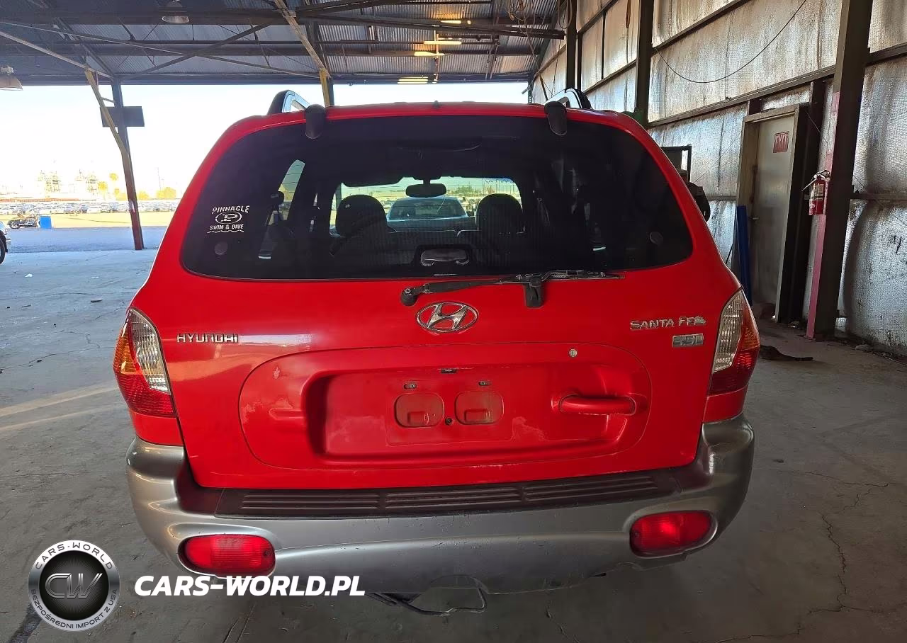 2004 Hyundai Santa Fe Gls VIN:KM8SC13E14U645974 - 6