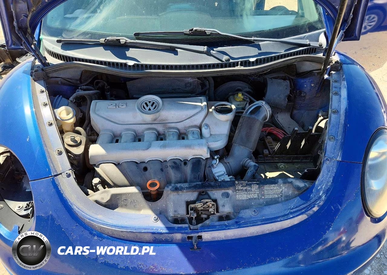 2008 Volkswagen New Beetle S VIN:3VWPW31C78M513906 - 11