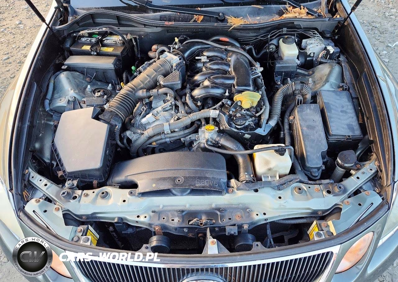2006 Lexus Gs 300 VIN:JTHCH96S060008173 - 11