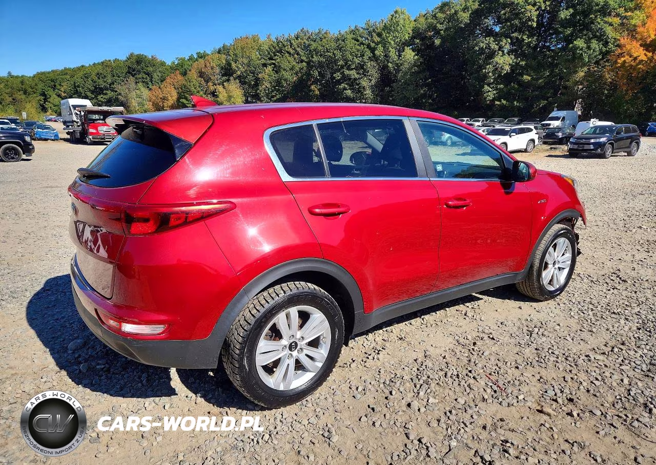 2019 Kia Sportage Lx VIN:KNDPMCAC3K7494670 - 3
