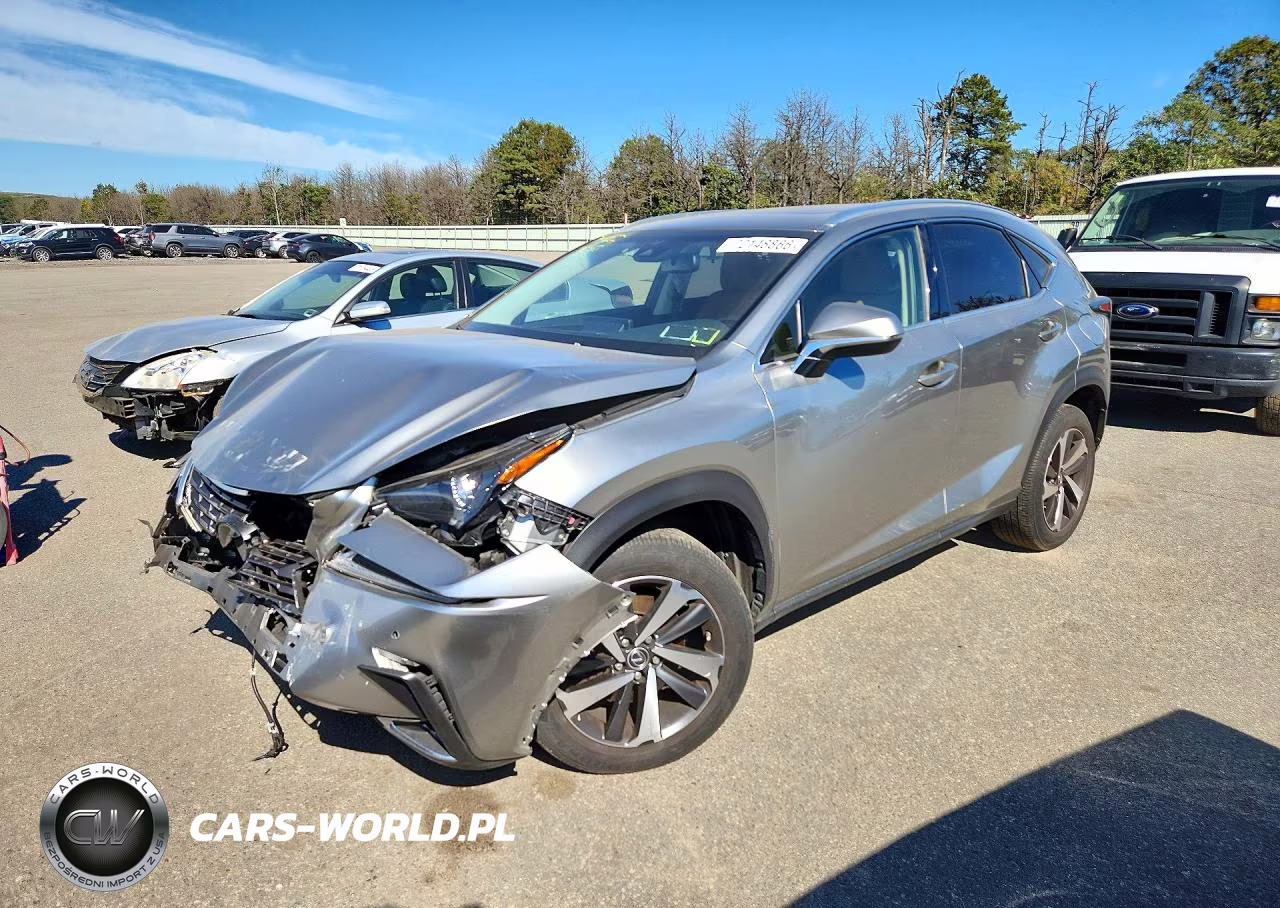 2019 Lexus Nx 300 Base VIN:JTJBARBZ9K2210350 - 1