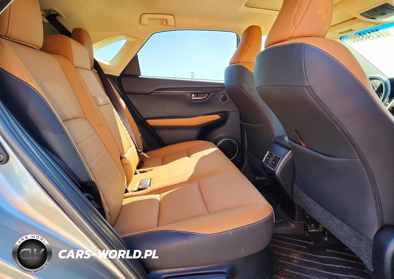2019 Lexus Nx 300 Base VIN:JTJBARBZ9K2210350 - 11