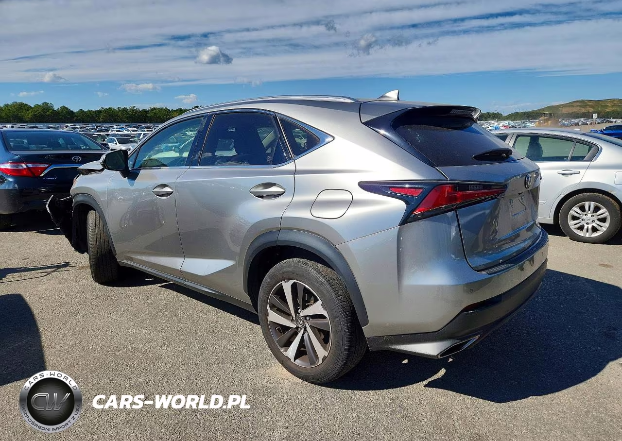 2019 Lexus Nx 300 Base VIN:JTJBARBZ9K2210350 - 2