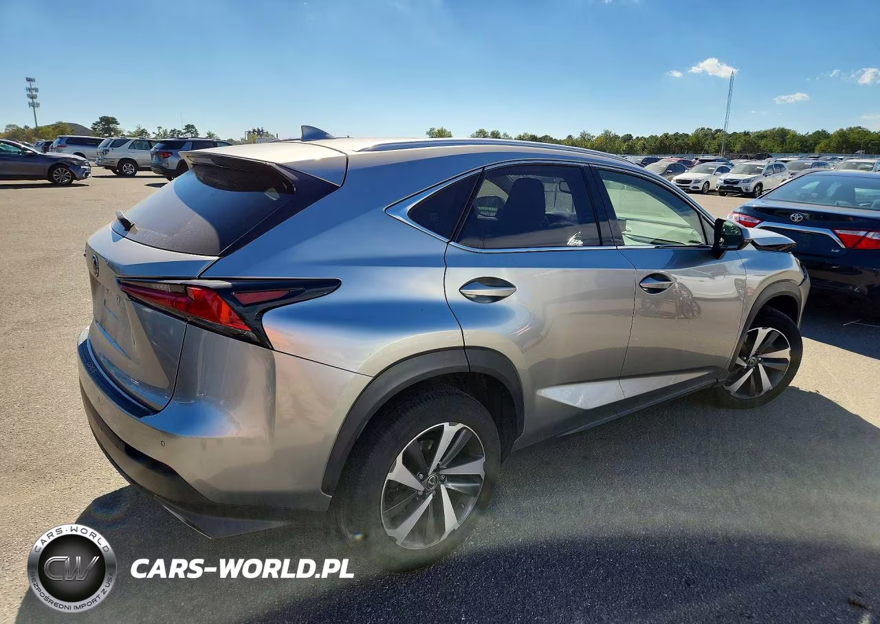 2019 Lexus Nx 300 Base VIN:JTJBARBZ9K2210350 - 3