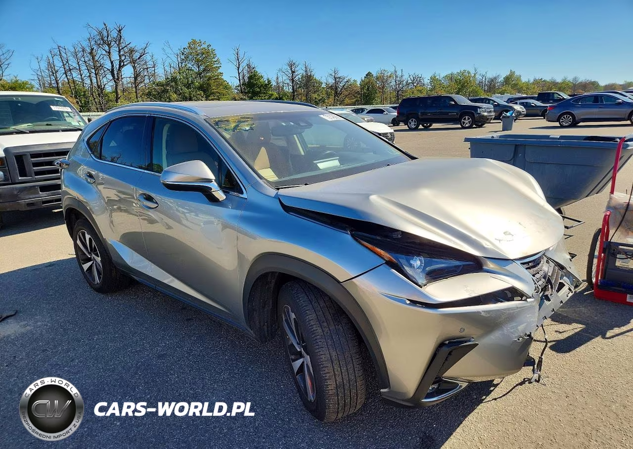 2019 Lexus Nx 300 Base VIN:JTJBARBZ9K2210350 - 4