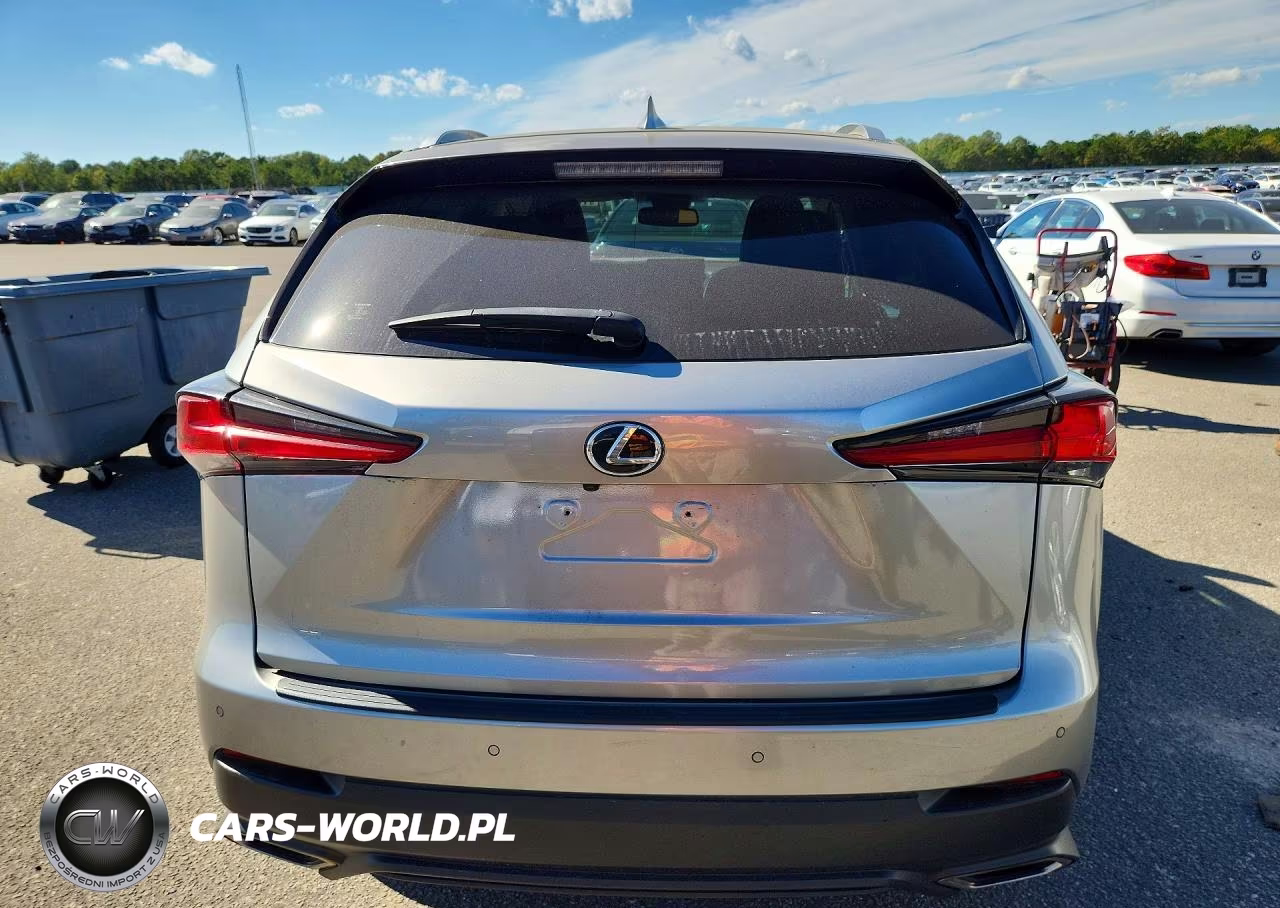 2019 Lexus Nx 300 Base VIN:JTJBARBZ9K2210350 - 6