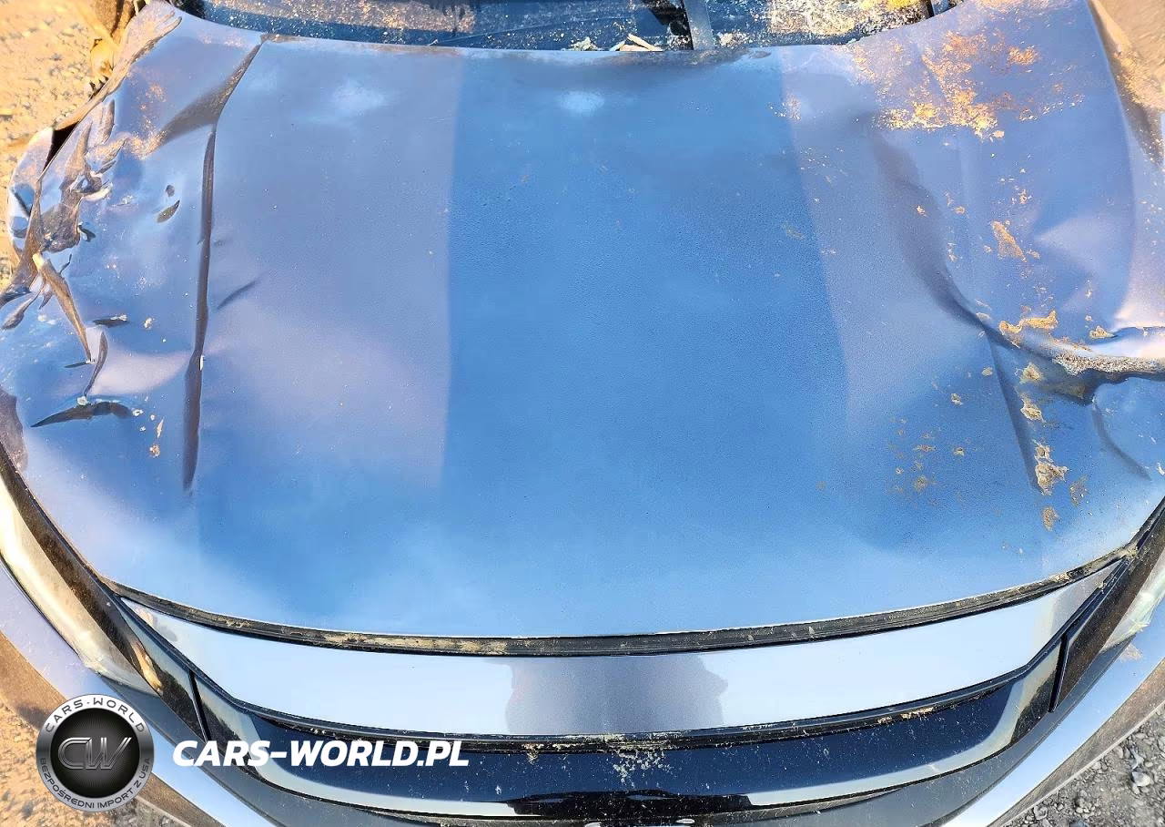 2019 Honda Civic Lx VIN:2HGFC2F64KH524888 - 11