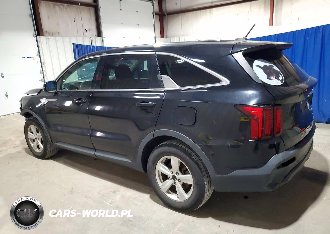 2022 Kia Sorento Lx VIN:5XYRG4LC9NG097619 - 2