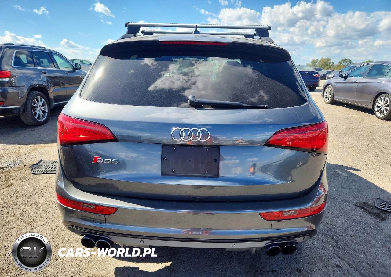 2015 Audi Sq5 Premium Plus VIN:WA1CGAFP3FA141466 - 6