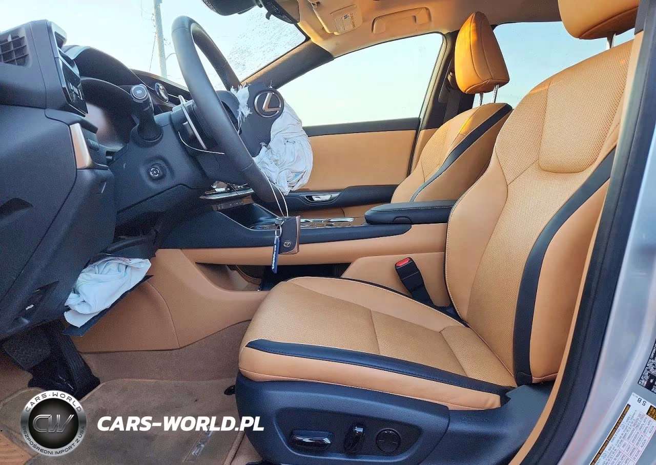 2024 Lexus Rz 300E Premium VIN:JTJABABB1RA002587 - 7